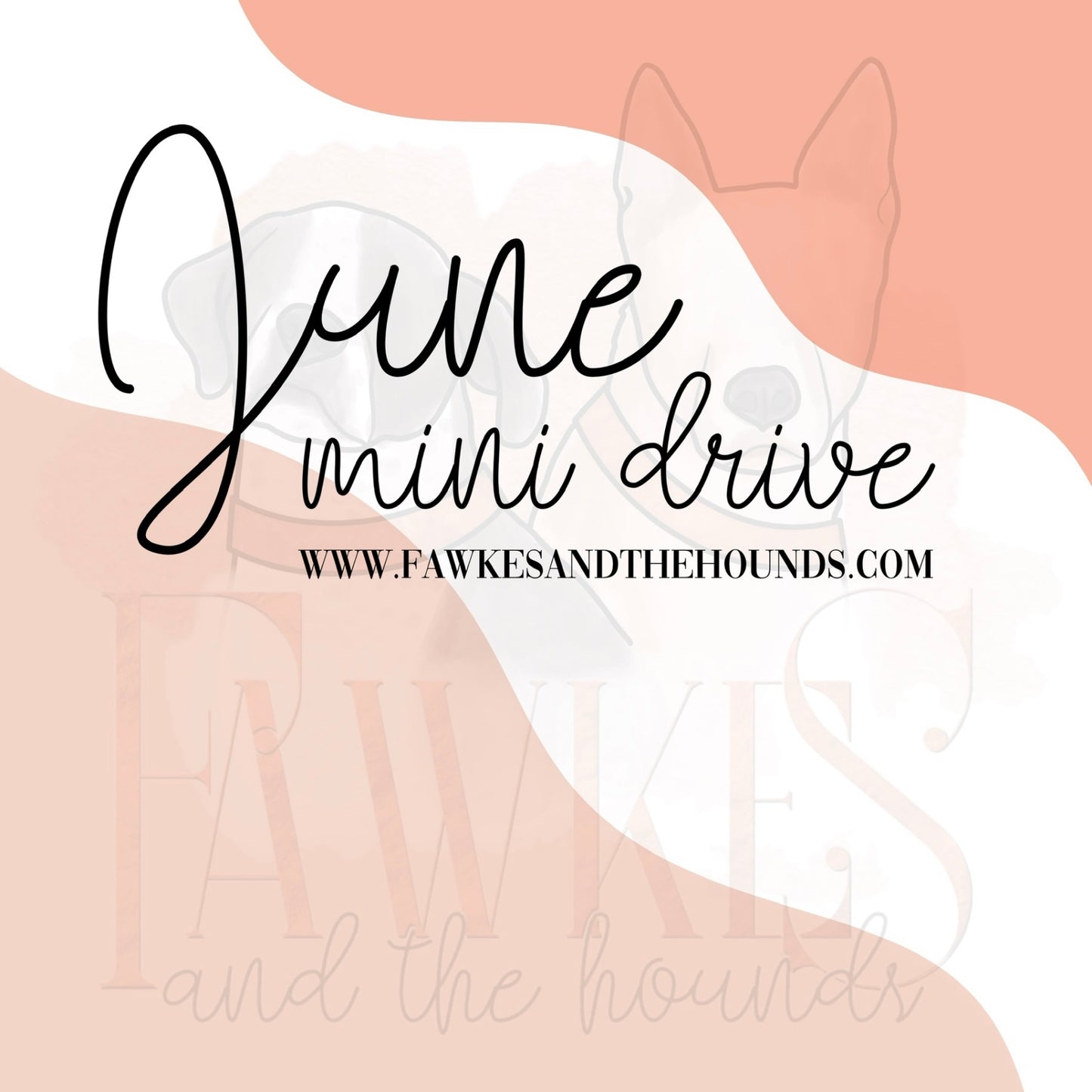 June Mini Drive