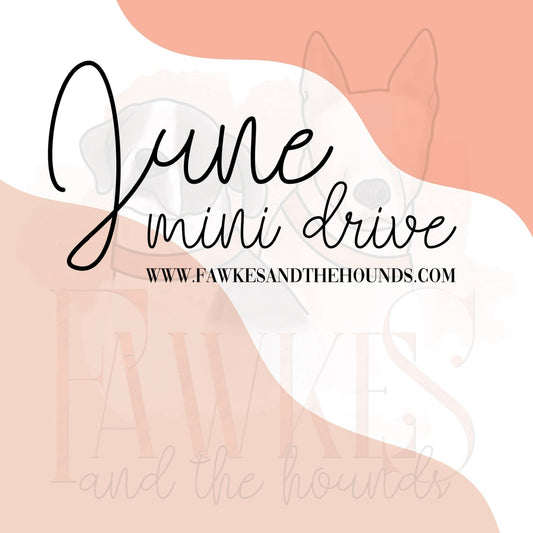 June Mini Drive