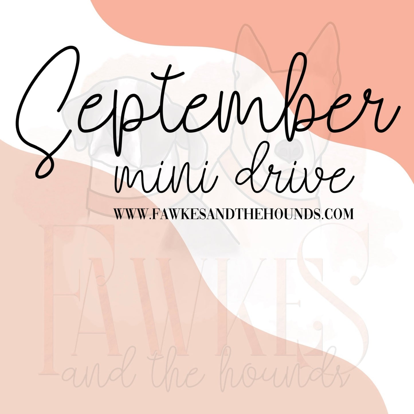 September Mini Drive