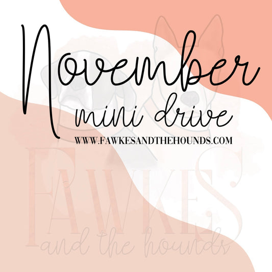 November Mini Drive
