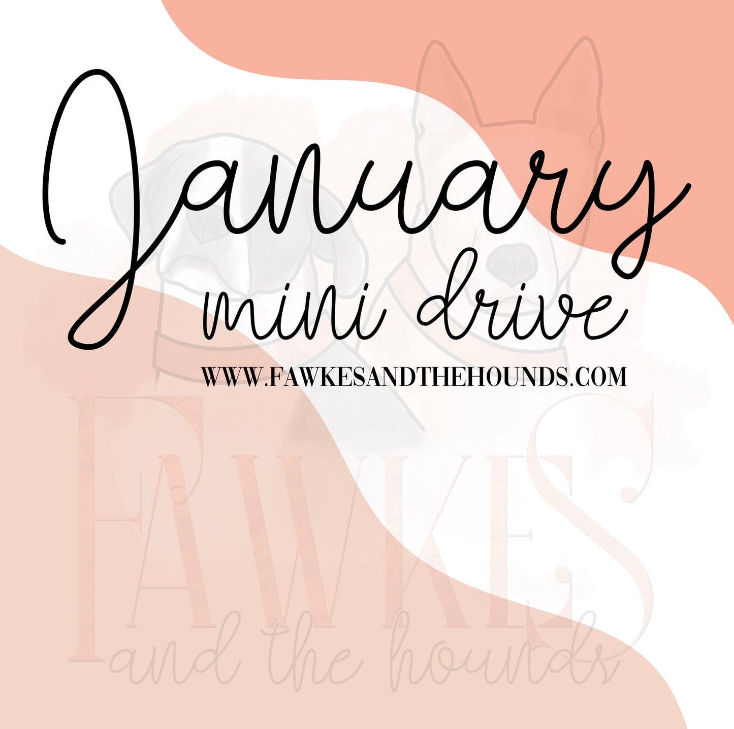 January Mini Drive