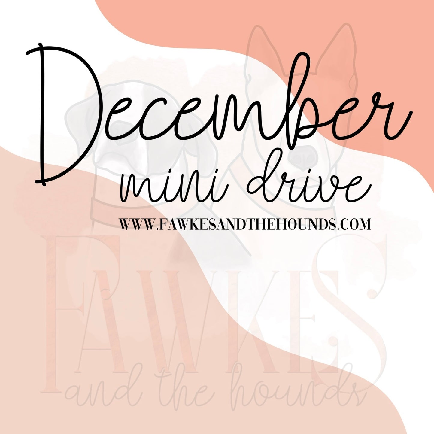 December Mini Drive