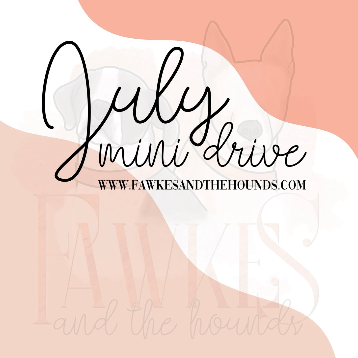 July Mini Drive