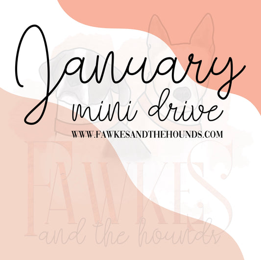January Mini Drive